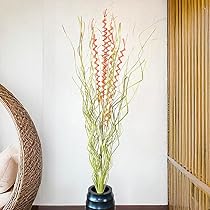 花瓶 (木箱付き) Amazon｜「椰子編み込みG」 枝物 フラワーベース フェイク 枝